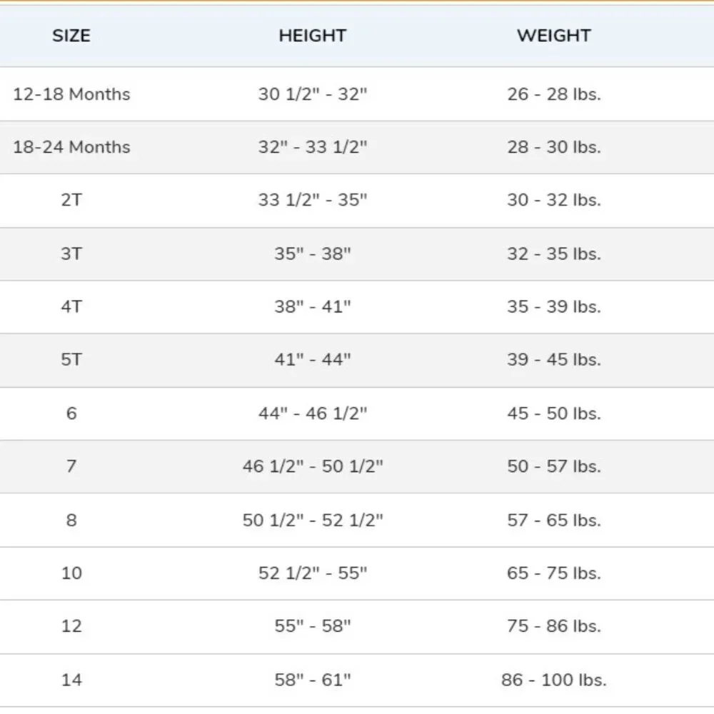 Gymboree Girls Size 12 Festive Fruit Ruffle Tank Top NWOT